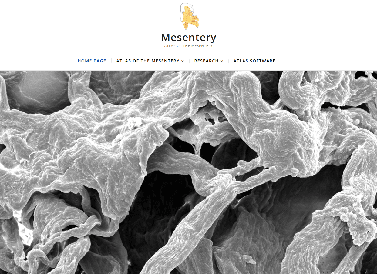 Mesenteric Research