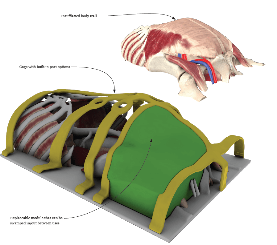 Final concept anatomical surgical simulator 1