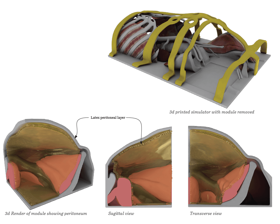 Final concept anatomical surgical simulator 3